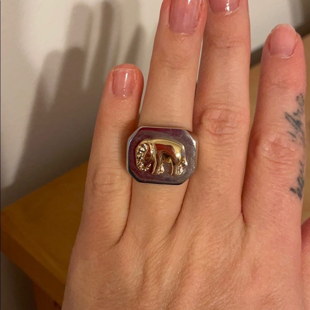 Elephant ring - Picture 3 of 3